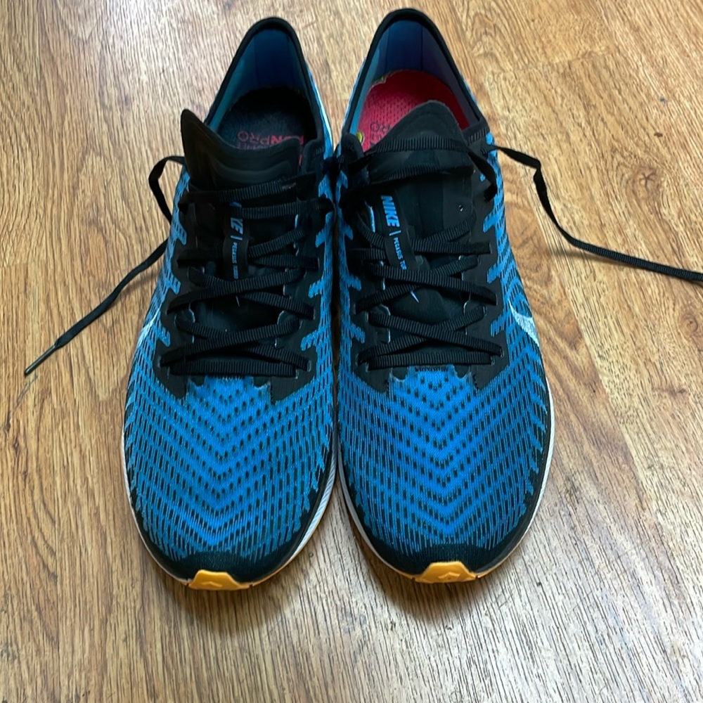 Nike Pegasus Turbo 2